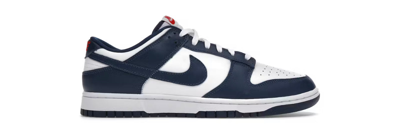 NIKE DUNK LOW VALERIAN