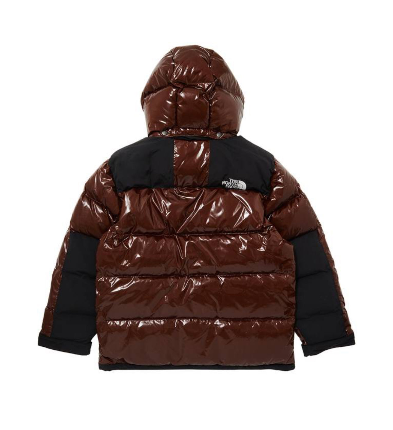 SUPREME X NORTH FACE 700 PARKA BROWN