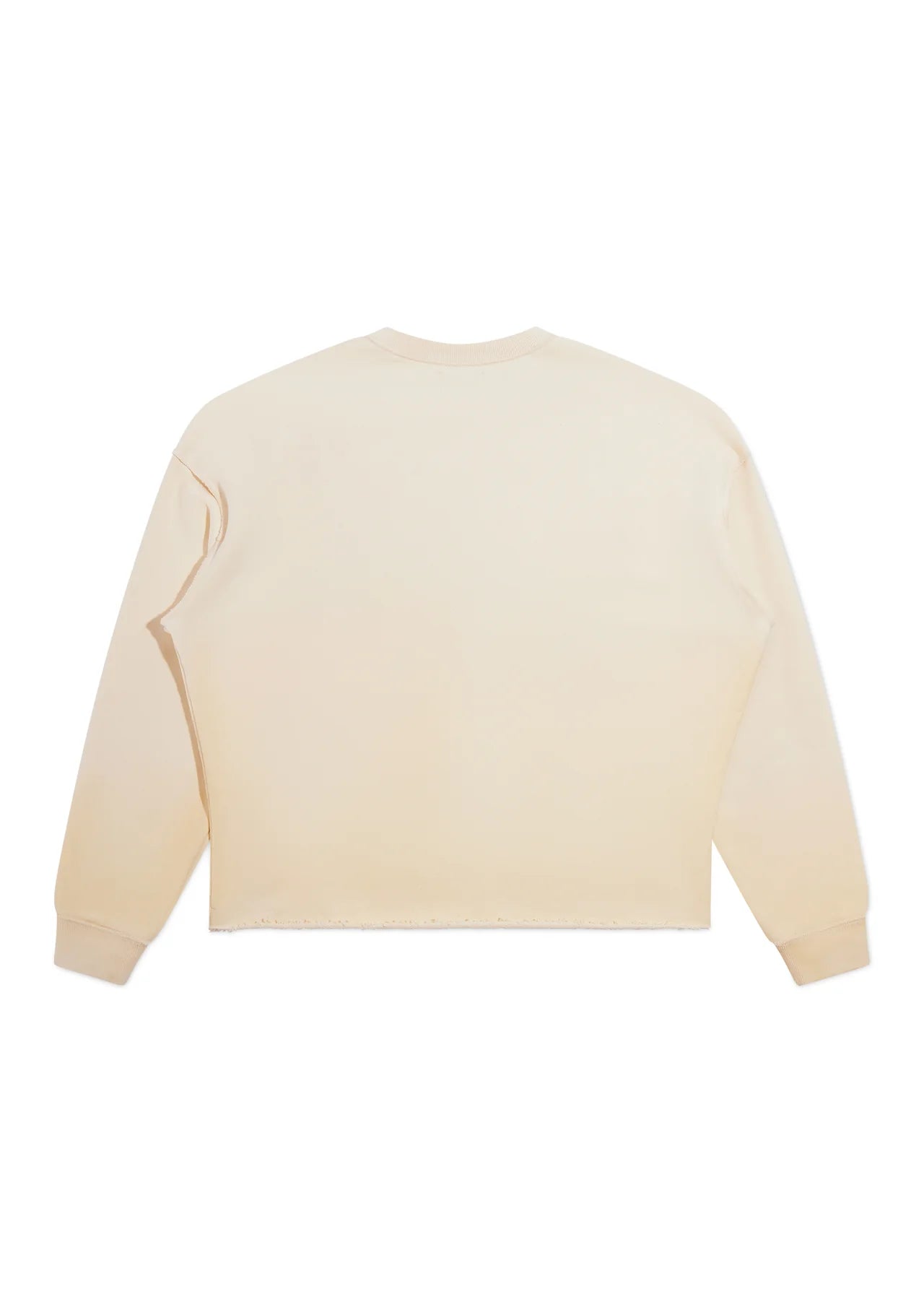 DIET STARTS MONDAY SL&D SWEATSHIRT