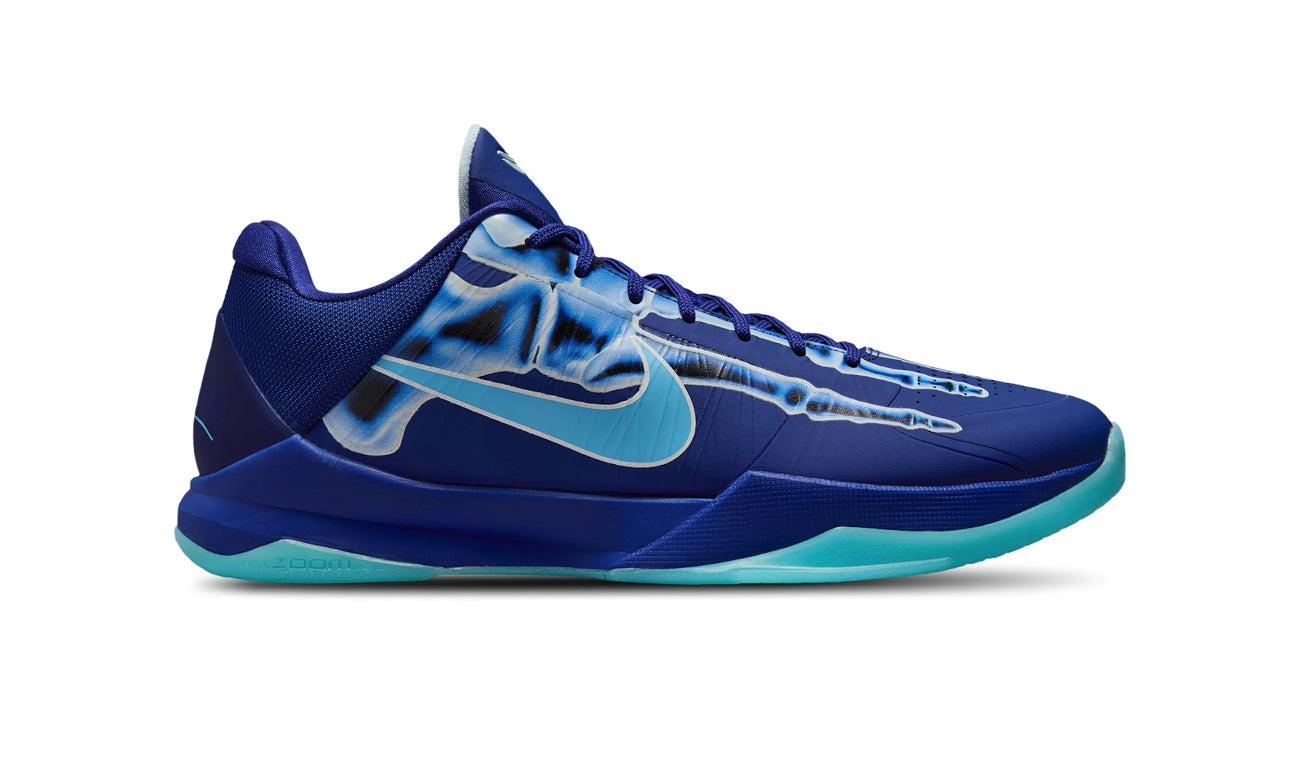 KOBE 5 PROTRO X-RAY